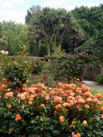 Howard Davis Park, St. Helier, Jersey &ndash; &copy; Isabel Schirmer (Eberhardt TRAVEL)
