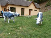 Fromagerie Graine de Lait &ndash; &copy; Ingrid Langer (Eberhardt TRAVEL)