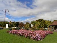 Ribeauville &ndash; &copy; Ingrid Langer (Eberhardt TRAVEL)