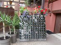 Dambach La Ville-Winzer Ruhlmann &ndash; &copy; Ingrid Langer (Eberhardt TRAVEL)