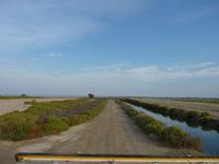 Weiten der Camargue &ndash; &copy; Steffi Zimmermann (Eberhardt TRAVEL)