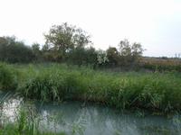 Camargue &ndash; &copy; Steffi Zimmermann (Eberhardt TRAVEL)