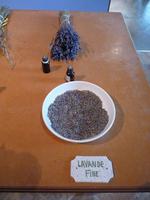 Lavande Fine &ndash; &copy; Steffi Zimmermann (Eberhardt TRAVEL)