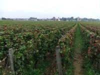 Clos Vougeot &ndash; &copy; Peter Großer (Eberhardt TRAVEL)