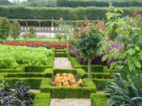 Château et Jardins Villandry  &ndash; &copy; Betina Marinow (Eberhardt TRAVEL)