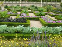 Château et Jardins Villandry  &ndash; &copy; Betina Marinow (Eberhardt TRAVEL)