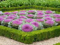 Château et Jardins Villandry  &ndash; &copy; Betina Marinow (Eberhardt TRAVEL)