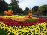 Halloween &ndash; &copy; Steffi Zimmermann (Eberhardt TRAVEL)