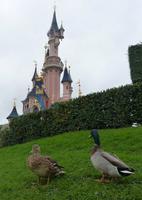 tierische Besucher &ndash; &copy; Steffi Zimmermann (Eberhardt TRAVEL)