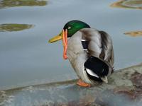so ein Quatsch:-) &ndash; &copy; Steffi Zimmermann (Eberhardt TRAVEL)