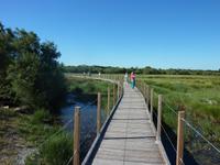 die Camargue &ndash; &copy; Patrick Fritzsche (Eberhardt TRAVEL)