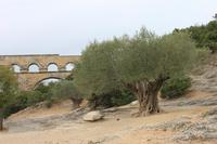 Pont du Gard &ndash; &copy; Alice Teipelke (Eberhardt TRAVEL)