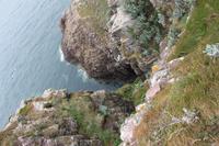 Cap Fréhel &ndash; &copy; Alice Teipelke (Eberhardt TRAVEL)