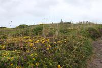 Pointe du Raz &ndash; &copy; Alice Teipelke (Eberhardt TRAVEL)