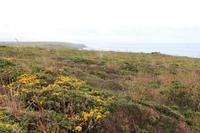 Pointe du Raz &ndash; &copy; Alice Teipelke (Eberhardt TRAVEL)