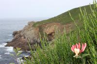 Pointe du Raz