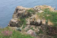Cap Fréhel &ndash; &copy; Alice Teipelke (Eberhardt TRAVEL)