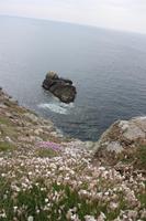 Pointe du Raz &ndash; &copy; Alice Teipelke (Eberhardt TRAVEL)