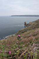Pointe du Raz &ndash; &copy; Alice Teipelke (Eberhardt TRAVEL)