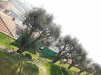 DSCN2067 &ndash; &copy; Vicky Kern (Eberhardt TRAVEL)
