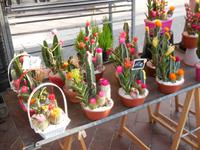 DSCN2238 &ndash; &copy; Vicky Kern (Eberhardt TRAVEL)