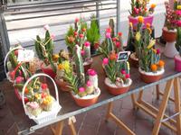 DSCN2239 &ndash; &copy; Vicky Kern (Eberhardt TRAVEL)