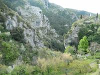 DSCN1540