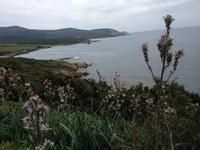 IMG_4355_Asphodèle &ndash; &copy; Birgit Janosch (Eberhardt TRAVEL)