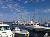 IMG_4383_Maccinaggio &ndash; &copy; Birgit Janosch (Eberhardt TRAVEL)