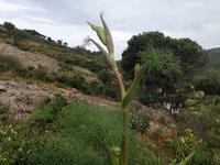 IMG_4421_Grande Ferrule &ndash; &copy; Birgit Janosch (Eberhardt TRAVEL)