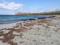 IMG_4453_Strand von Ostriconi &ndash; &copy; Birgit Janosch (Eberhardt TRAVEL)