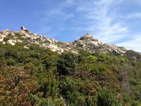 IMG_4488_Wanderung bei Calvi &ndash; &copy; Birgit Janosch (Eberhardt TRAVEL)