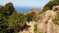 IMG_4526_Calanche &ndash; &copy; Birgit Janosch (Eberhardt TRAVEL)