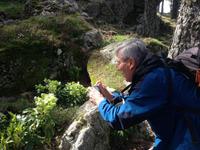 IMG_4725_Christrose &ndash; &copy; Birgit Janosch (Eberhardt TRAVEL)
