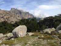 IMG_4729_die?Nadeln? von Bavella &ndash; &copy; Birgit Janosch (Eberhardt TRAVEL)
