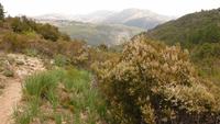 IMG_4766_Wanderung im Alta Rocca &ndash; &copy; Birgit Janosch (Eberhardt TRAVEL)