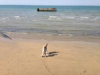 3999_Arromanches &ndash; &copy; Birgit Janosch (Eberhardt TRAVEL)