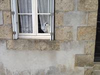 5154_Guimiliau &ndash; &copy; Birgit Janosch (Eberhardt TRAVEL)