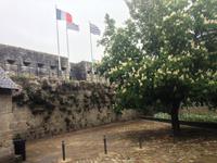 5304_Concarneau &ndash; &copy; Birgit Janosch (Eberhardt TRAVEL)