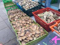 5307_Concarneau &ndash; &copy; Birgit Janosch (Eberhardt TRAVEL)