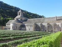 Kloster Senanque &ndash; &copy; Jürgen Schmeißer (Eberhardt TRAVEL)