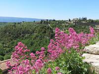 malerisches Gordes &ndash; &copy; Jürgen Schmeißer (Eberhardt TRAVEL)