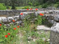 Glanum &ndash; &copy; Jürgen Schmeißer (Eberhardt TRAVEL)
