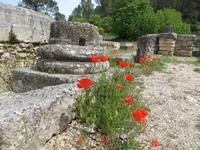 Glanum &ndash; &copy; Jürgen Schmeißer (Eberhardt TRAVEL)