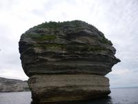 Bonifacio 
