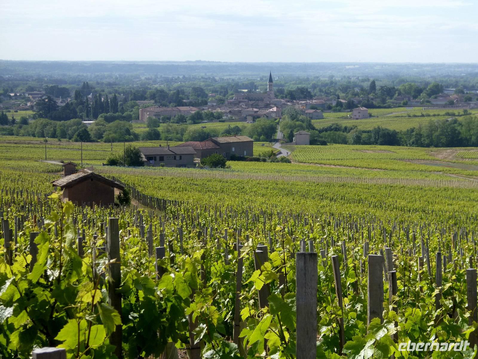 Rhône & Saône 2014 (130) &ndash; &copy; Isabel Schirmer (Eberhardt TRAVEL)