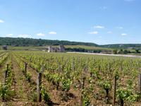 Rhône & Saône 2014 (101) &ndash; &copy; Isabel Schirmer (Eberhardt TRAVEL)