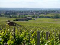 Rhône & Saône 2014 (130) &ndash; &copy; Isabel Schirmer (Eberhardt TRAVEL)