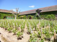 Rhône & Saône 2014 (150) &ndash; &copy; Isabel Schirmer (Eberhardt TRAVEL)