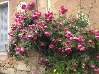 Zitadelle von Blaye &ndash; &copy; Birgit Janosch (Eberhardt TRAVEL)